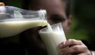 Milch (Foto)