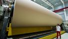 Schichtleiter Stephan Ölze von der Progroup AG steht in der Papierfabrik im brandenburgischen Eisenhüttenstadt vor einer riesigen Papierrolle. Die größte Papierfabrik Deutschlands will im laufenden Geschäftsjahr 600.000 Tonnen Wellpapperohpapier für Verpackungen produzieren. In der Fabrik mit eigenem Kraftwerk sind 175 Mitarbeiter beschäftigt. Foto: dapd
