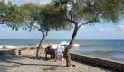 Bank mit Meerblick: Regelmäßig am Nachmittag treffen sich in Cala Millor grauhaarige Mallorquinerinnen zum Plaudern in der Sonne. Foto: dpa