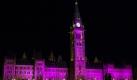 In Ottawa, Kanada, wird im Rahmen desBreast Cancer Awareness Month (BCAM) das Parlament pink beleuchtet. Die Kampange wird jedes Jahr im Oktober in Kanada und den USA gestartet und soll auf das Brustkrebsrisiko aufmerksam machen. Foto: dapd