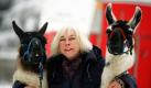 Marita Guckuk posiert mit den Lamas Tarkan und Paul auf ihrem Grundstück in Sophienhof bei Nordhausen. Zusammen mit ihrem Mann bietet sie Lama-Trekking-Touren an.
 Foto: dpa