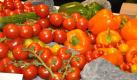 ... Gemüsearrangement in der Halle der Holländer. Hier liegen zwar Paprika, Tomaten und Gurken herum. Doch am Stand selbst ging es um Wespen. Sie waren in kleinen Pappkartons zwischen dem Gemüse zu finden. Foto: news.de