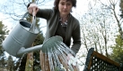 Sehen, fühlen, tasten, Muskeln anspannen, Gleichgewicht halten  bei der Arbeit im Garten - und sei es nur beim Blumengießen - ist der ganze Körper mit allen Sinnen gefordert. Foto: ddp