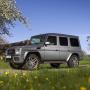 Die besten Bilder zu Mercedes G 63 AMG: Chitinpanzer (Foto)