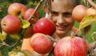Äpfel liefern viel Vitamin C für die Produktion von Botenstoffen und enthalten jede Menge Antioxidantien, die freie Radikale bekämpfen und so die Gehirnzellen schützen. Auch gut: alle weiteren Obstsorten, besonders aber Erdbeeren, Bananen und Blaubeeren. Foto: ddp