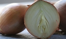 Bei der Kleidung gilt das Zwiebelprinzip: Immer mehrere Schichten übereinander tragen. So kann man auf wechselnde Temperaturen flexibel reagieren.  Foto: news.de