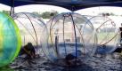 Kinder laufen in sogenannten Water Walking Balls über das Wasser. Die amerikanische Regierung veröffentlichte eine Warnung, in der sie den Bürgern von der Nutzung der Water Walking Balls abrät, da die Erstickungs- bzw. Ertrinkungsgefahr zu groß sei. Foto: dapd