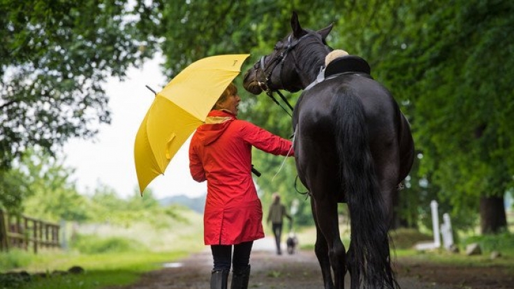 Unter einem Regenschirm führt eine Frau ihr Pferd am Pfingstsonntag zum Reitplatz in Quelkhorn (Niedersachsen). Das Wetter bleibt wechselhaft.