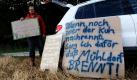Hans Wintersteller, Yvonne-Fahndungsleiter vom Gut Aiderbichl, präsentierte heute in Zangberg in Oberbayern einige mehr oder weniger ernst gemeinte Schilder. Bisherige Versuche, Yvonne mit einer anderen Kuh, einen Zuchtstier oder mit Futter zu locken, scheiterten. Foto: dpa
