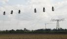 Spezialisten der LTB Leitungsbau GmbH arbeiten am Donnerstag (25.09.2008) an zukünftigen 110-KV Freileitungen bei Nahrstedt im Landkreis Stendal. Die Konzerne E.ON Avacon und Vattenfall Europe Transmission bauen dort das neue 380/110-Kilovolt-Umspannwerk Stendal/West. Wenn alle Arbeiten in der zeitlichen Planung bleiben, wird der erste Trafo des Werkes im Juli 2009 in Betrieb gehen. Foto: dpa