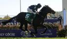 Ryan Moore reitet auf Wrote beim Juvenile Turf Rennen des Breeders' Cup zum Sieg. Das prestigeträchtige Rennen findet in Churchill Downs, Louisville (Kentucky). Foto: dapd
