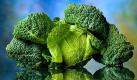 Als echtes Wintergemüse liefert Grünkohl jede Menge Eisen, Eiweiß und Calcium. Wie der Rosenkohl enthält er bis zu 150 Milligramm Vitamin C pro 100 Gramm. Damit die wertvollen Inhaltstoffe nicht verloren gehen, dürfen Kohlsorten generell nicht zu lange gekocht werden. Foto: news.de