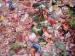 «Taste The Waste» (Foto)