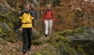 Der Wildnis-Trail im Nationalpark Eifel. Foto: SRT-Archivbild