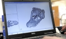 Die Knochen-Kopien des Sauriers werden an einem Computer im 3D-Verfahren gescannt. Vom 21. Oktober an ist eine Ausstellung mit dem neuen Dino im Naturhistorischen Museum in Braunschweig geplant. Foto: dpa