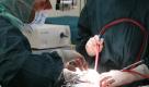 Tumoroperation (Foto)