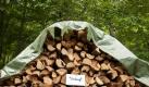 Mit Holz kann man Geld verdienen. Anleger brauchen dafür etwas mehr Startkapital und viel Geduld. (Bild: Stache/dpa/tmn) Foto: dpa