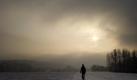 Morgenspaziergang in den verschneiten Elbwiesen in Dresden. Foto: Arno Burgi  Foto: dpa