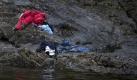 In this photo provided on Friday Feb. 10, 2012 by World Press Photo, the 2nd prize Spot News Stories of the 2012 World Press Photo contest by Niclas Hammerstrom, Sweden, for Aftonbladet in Utoya, Norway, July 22, 2011. Anders Behring Breivik killed 69 people on 22 July on the small island of Utoya outside Oslo in Norway. (Foto:Niclas Hammerstrom/ Aftonbladet /AP/dapd) Foto: dapd