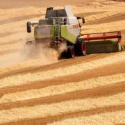 Riester für den Landwirt (Foto)