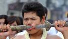 Auch wenn das schmerzhaft aussieht, für die Thailänder ist es Tradition. Beim sogenannten Vegetarier-Festival in Phuket lassen sie sich auffällige Piercings stechen.  Foto: dpa