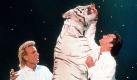 Das Duo ' Siegfried & Roy' bei einem Auftritt mit einem weißen Tiger (undatiertes Archivbild). Roy alias Uwe Horn (r) soll sich nach Medienberichten vom Freitag (17.06.2005) in einer Klinik in Bad Heilbrunn bei Bad Tölz zu einer Behandlung aufhalten. Roy wurde bei seiner Show am 3.10.2003 in Las Vegas von einem seiner weißen Tiger angefallen und lebensgefährlich verletzt. Foto: atyoursite dpa/lby +++(c) dpa - Bildfunk+++ Foto: dpa