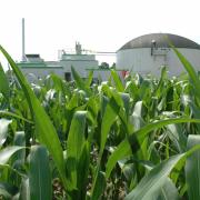 Biogas aus Küchenabfall (Foto)