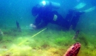 Taucharchäologe Dr. Martin Mainberger bei der Untersuchung eines mittelalterlichen Schiffswracks im Bodensee. Es ist vermutlich vor über 600 Jahren vor der Insel Reichenau gesunken.  Foto: ap