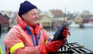 Zum Mittag gibt's oft Fisch, oder Hummer. In Schären, nahe Stockholm, können Touristen sogar mit raus auf die See fahren und auf Hummersafari gehen. Das Angebot gilt sicher auch für Neuankömmlinge. Foto: SRT/ Archivbild