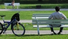 Pause nach der Radtour: Ein Mann ruht sich in einem Park in Regensburg aus. Foto: dpa