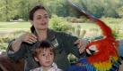 Die Tierärztin Dr. Susanne Mertens (Elisabeth Lanz) versucht am Montag (02.05.2005) hinter ihrem Filmsohn Jonas (Ludwig Zimmeck) während eines Set-Termins im Zoo Leipzig einen Papagei zu halten. Seit dem 07.04.2005 dreht die ARD an einer neuen Fersehserie unter dem Titel 'Tierärztin Dr. Mertens'. Die erste Ausstrahlung ist für 2006 geplant.
 Foto: dpa