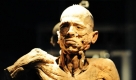 Ein plastinierter männlicher Körper steht in der Ausstellung Echte Körper - von den Toten lernen im ehemaligen Britischen Pavillon auf dem Expo-Gelände in Hannover. Vom 7. bis zum 29. November 2009 können Besucher über 400 Exponate betrachten. Foto: dpa