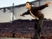 Robbie Williams (Foto)