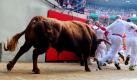 Dieser Stier macht den Teilnehmern der letzten Stierhatz des San Fermin-Festes im spanischen Pamplona Beine. Bei der Hatz werden sechs Kampfstiere durch die Gassen der Altstadt bis in die Arena gejagt, wo sie am Abend von Toreros getötet werden. Foto: ap