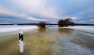 Wo jetzt das Hochwasser der Oder alles beherrscht, schlängelt sich normalerweise eine Straße im Odervorland in der Güstebieser Loose im Oderbruch durch die Landschaft. Die Hochwasserlage an dem im Osten Deutschlands fließenden Fluss bleibt angespannt. Der Wasserstand am Pegel Hohensaaten ist am Wochenende kontinuierlich gestiegen. Derzeit sei der Richtwert für die Alarmstufe 4 im Flussabschnitt Kilometer 633 bis 668,9 um 43 Zentimeter überschritten. Foto: dpa