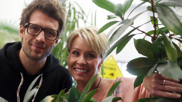 Daniel Hartwich und Sonja Zietlow moderieren wieder das Dschungelcamp 2019 - die Kandidaten hat RTL auch schon gefunden.