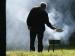 grillen (Foto)