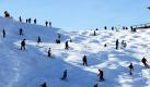 Die Fellhorn-Talabfahrt in Oberstdorf (Allgäu) und die Planai im österreichischen Schladming (Steiermark) sind laut ADAC die besten Ski-Pisten in den Alpen und in den Mittelgebirgen. In einem Test, dessen Ergebnisse der Automobilclub in München veröffentlichte, erhielten diese Abfahrten als einzige die Note sehr gut. Foto: dpa