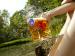 Alkohol (Foto)