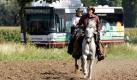 Nach historischem Vorbild galoppieren derzeit Postreiter durch mehrere Bundeslnder. 108 Freizeitsportler aus Deutschland beteiligten sich am European Pony Express. Wie bei einer Staffel bergeben die Reiter an den Nachfolgenden Satteltaschen mit etwa 50 Postkarten. Foto: dapd