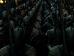Harry Potter (Foto)