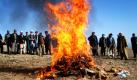 Männer sehen der Verbrennung von Opium und Haschisch südlich der afghanischen Hauptstadt Kabul zu. Afghanistan ist der weltweit größte Produzent von Opium. Foto: ap