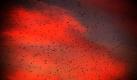 Vögel fliegen während des Sonnenuntergangs über den Ganges in der indischen Stadt Allahabad. Foto: ap