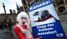 München. Eine Aktivistin der Tierschutzorganisation PETA hält ein Plakat mit dem Bild einer erschlagenen Seerobbe und der Überschrift Kanada: Stopp das Robbenmassaker! in den Händen. Die Aktion der PETA Deutschland e.V. fand zeitgleich auch in Stuttgart statt. Foto: dpa