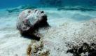 Je nach Idee und Umfang der Arbeit braucht der Künstler drei bis sechs Monate von ersten Fotografien oder Zeichnungen bis zur vollendeten Skulptur. Foto: Jason deCaires Taylor/underwatersculpture.com