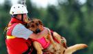Die Lawinensuchhundestaffel der Bergwacht Bayern trainiert am Freitag in den Bergen in Mittenwald (Oberbayern) mit ihren Suchhunden das Fliegen. Im Rahmen der Flugübung seilen sich Herr und Hund aus einem Hubschrauber ab. Etwa hundert Lawinenopfer gibt es jedes Jahr in den Alpen. Foto: dpa