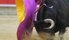 File - In this April 4, 2010 file picture Spanish matador Daniel Luque performs with a bull from Nunez del Cuvillo ranch during a bullfight at Las Ventas bullring in Madrid. Lawmakers in Catalonia outlawed bullfighting Wednesday, making this Spain's first major region to do so after an impassioned debate that pitted the rights of animals against preserving a pillar of traditional culture. (AP Photo/Daniel Ochoa de Olza, file)

Katalonien verbietet Stierkämpfe
Vorspann: 	
Text: 	

Barcelona (dpa) - Historischer Sieg für Spaniens Tierschützer: Das Parlament von Katalonien hat die Abschaffung des Stierkampfes in der wirtschaftsstärksten Region des Landes beschlossen. 68 Abgeordnete votierten am Mittwoch in Barcelona für das Verbot, 55 stimmten dagegen. Es gab neun Enthaltungen.

Katalonien ist damit die erste Region auf dem spanischen Festland, die den umstrittenen Brauch verbietet. Der Bann gilt vom 1. Januar 2012 an. Auf den Kanarischen Inseln wurden Stierkämpfe bereits 1991 für illegal erklärt.

In Katalonien (7,4 Millionen Einwohner) gibt es nur wenige Stierkämpfe. Regelmäßige «Corridas» finden nur noch in der einzigen Arena in der Hauptstadt Barcelona statt. Das Verbot gilt aber als starkes Signal für den Rest des Landes. Die Anhänger des blutigen Spektakels wollen nun das Verfassungsgericht in Madrid anrufen.

Die Debatte im Parlament von Katalonien ging auf einen Antrag der Tierschutzinitiative Prou! (Es reicht!) zurück. Diese hatte Ende vergangenen Jahres 180 000 Unterschriften für ein Volksbegehren zur Abschaffung des Stierkampfes gesammelt.

In der Debatte hatte Prou!-Sprecherin Anna Mulà die Abgeordneten am Mittwoch aufgerufen, «eine Botschaft des Erbarmens und des Fortschritts an die Menschheit» zu richten. Für die Tiere bedeuteten die Stierkämpfe nichts weiter als Folter und Schmerz.

www.prou.cat
Ressort: 	Vermischtes Foto: dpa
