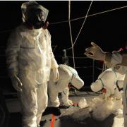 Arbeiter erstmals in Fukushima-Reaktor 1 (Foto)