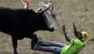 In Sincelejo im Norden Kolumbiens muss sich ein Mann einem Stier geschlagen geben. Der traditionelle Kampf zwischen Mensch und Tier gehört zum Corralejas-Fest, das die Regierung im Jahr 2009 zu einem wichtigen Teil des Kulturerbes des Landes erklärt hatte. Foto: dpa