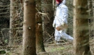 Spurensicherung in dem Waldstück am Möhnesee, in dem die kleine Kardelen tot aufgefunden wurde. Foto: dpa